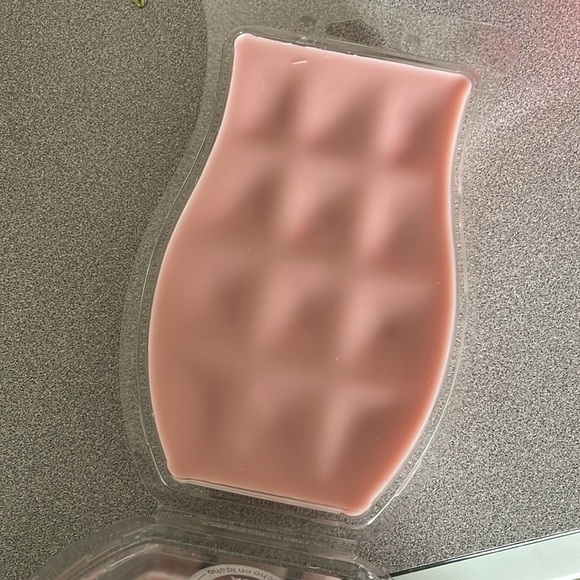 Scentsy Bar- Retired EARidescent Brick - Picture 2 of 2